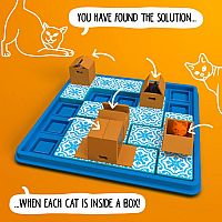 CATS & BOXES