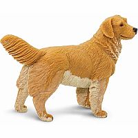 SAFARI GOLDEN RETRIEVER