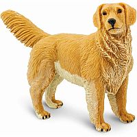SAFARI GOLDEN RETRIEVER