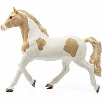 Paint Horse Mare