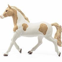 Paint Horse Mare