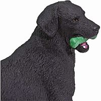 SAFARI BLACK LAB