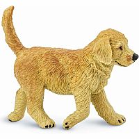 SAFARI GOLDEN RETRIVIER PUPPY