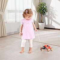 LADYBUG SHAPE SORTER