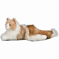 Kiki Ragdoll Cat