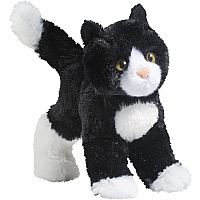 Snippy Black/ White Cat