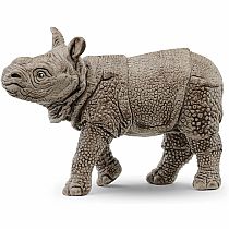 Indian Rhinoceros Baby