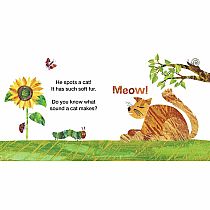 VERY HUNG CATR GARDEN FRIENDS  --Eric Carle