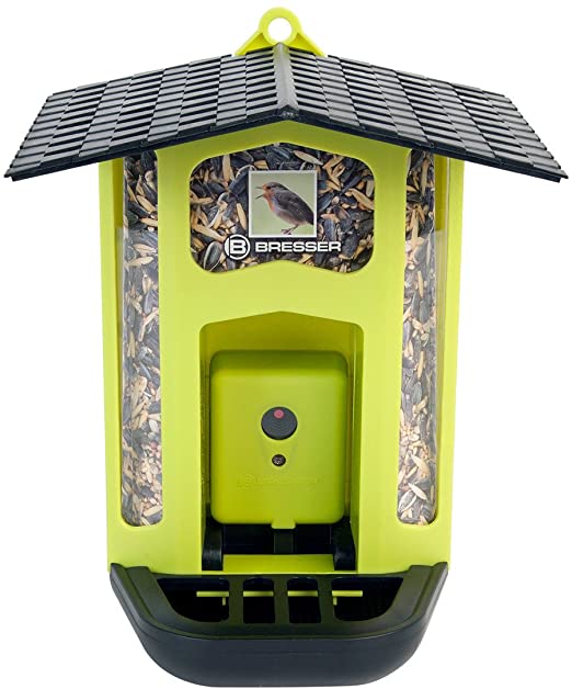 bird feeder with a camera