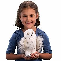 Wizard Snowy Owl