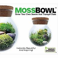 MOSS BOWL GROW YOUR OWN OASIS