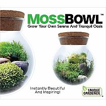 MOSS BOWL GROW YOUR OWN OASIS