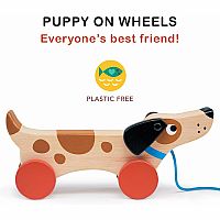 PUPPY ON WHEELS