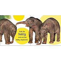 Touch and Feel Baby Animals