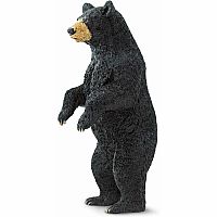 SAFARI BLACK BEAR STANDING