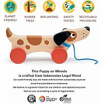 PUPPY ON WHEELS
