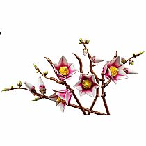 LEGO MAGNOLIA BRANCHES