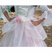 GOLDEN ROSE PRINCESS DRESS 7/8