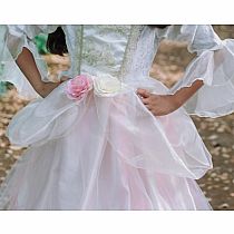 GOLDEN ROSE PRINCESS DRESS 7/8