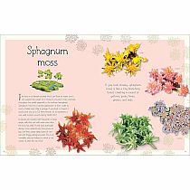 An Anthology of Aquatic Life---Sam Hume  Angela Rizza  Daniel Long