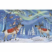 LIGHTS THAT DANCE IN THE NIGHT  --Yuval Zommer