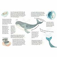 WELCOME HOME WHALES  --Christina Booth