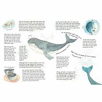 WELCOME HOME WHALES  --Christina Booth