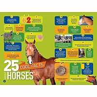 NGR NATIONALGEOGRAPHIC READERS  GALLOP 100 FUN FACTS HORSE--KITSON JAZYNKA