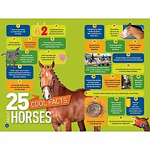 NGR NATIONALGEOGRAPHIC READERS  GALLOP 100 FUN FACTS HORSE--KITSON JAZYNKA