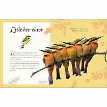 ANTHOLOGY OF EXQUISIT BIRDS---Ben Hoare  Angela Rizza  Daniel Long