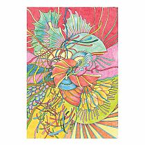 Creative Haven Tranquility Coloring Book