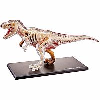 4D Vision T-Rex Anatomy