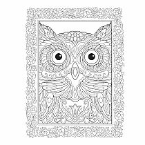 Creative Haven Birds and Blossoms Coloring Book