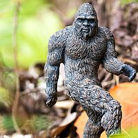 SAFARI BIGFOOT