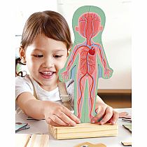 HUMAN BODY MAGNETIC PUZZLE
