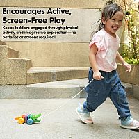 PLAN RAINBOW ALLIGATOR