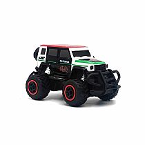 ALL CITY ORLANDO MINIS RC