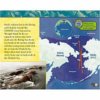 NGR NATIOANL GEOGRAPHIC READERS  Great Migrations Amazing Animal Journeys--LAURA MARSH