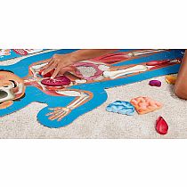 HUMAN BODY PUZZLE