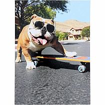 BULLDOG SKATEBOARD BDAY CARD