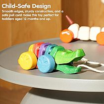 PLAN RAINBOW ALLIGATOR