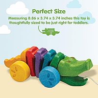 PLAN RAINBOW ALLIGATOR