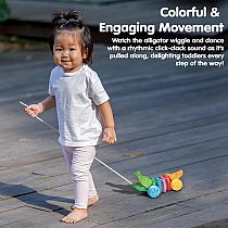 PLAN RAINBOW ALLIGATOR