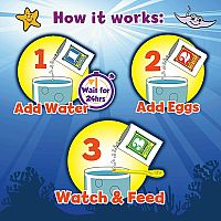 Sea Monkeys Ocean Zoo