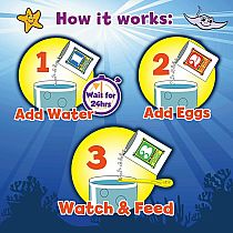 Sea Monkeys Ocean Zoo