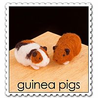 WOOLPETS GUINEA PIGS