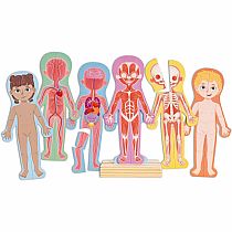 HUMAN BODY MAGNETIC PUZZLE