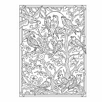 Creative Haven Birds and Blossoms Coloring Book