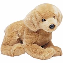 Honey Golden Retreiver