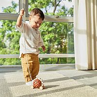 PULL ALONG HEDGEHOG BROWN